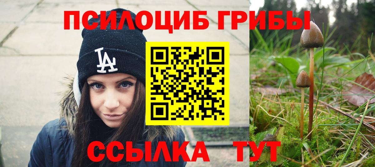 Псилоцибиновые грибы прущие грибы  Галлюциногенные грибы прущие грибы  Мариинск  наркота  Вход с VPN 